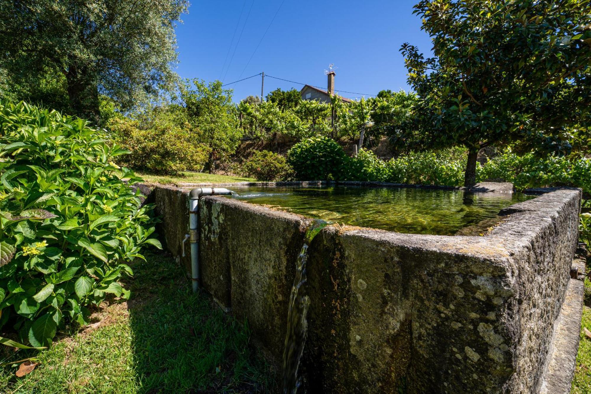 Eido Oliveira - Casa De Campo - Ponte De Lima Анайш Экстерьер фото